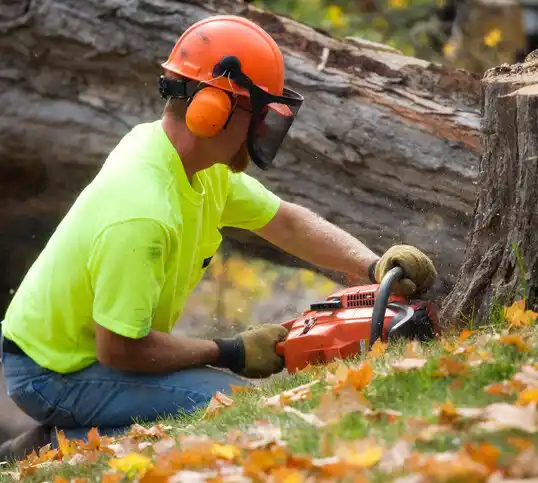 tree services Glen Gardner